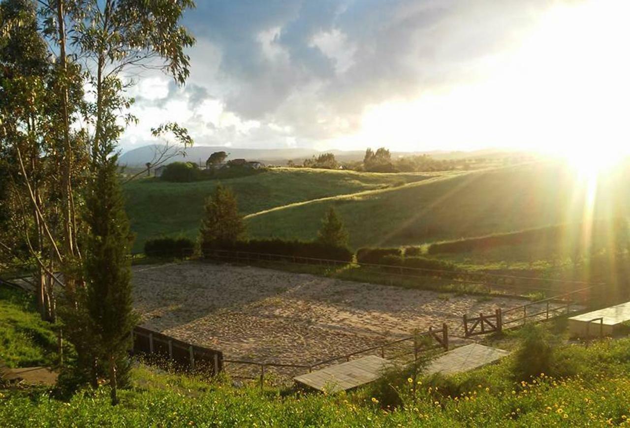Herdade Da Hera アザンブジャ エクステリア 写真