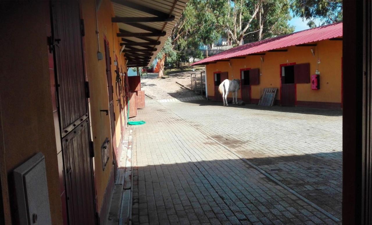 Herdade Da Hera アザンブジャ エクステリア 写真